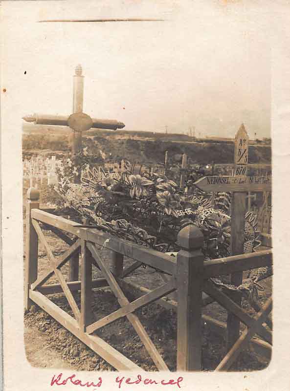 nedonsel (01)